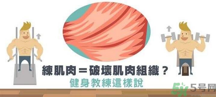 練肌肉會(huì)破壞肌肉組織嗎？練肌肉要注意什么呢？