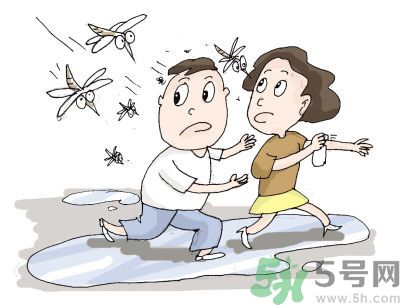 被蚊子咬很癢怎么辦？被蚊子咬要怎么止癢？