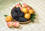 桃子和梨子能一起吃嗎？桃子和梨子一起吃好嗎？
