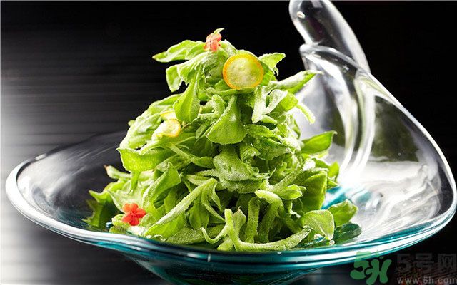 什么是冰草？冰草有什么作用？