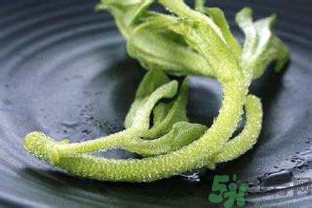 冰草好吃嗎？冰草怎么做好吃？