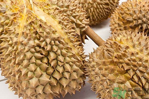 吃榴蓮會上火嗎？榴蓮是發(fā)物嗎？