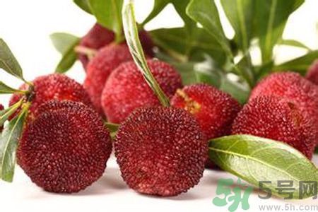 楊梅是不是發(fā)物？楊梅是發(fā)物嗎？