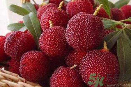 胃潰瘍可以吃楊梅嗎？胃潰瘍吃楊梅好嗎？