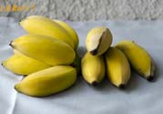 牛奶蕉可以減肥嗎？牛奶蕉怎么吃減肥？