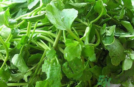 水腫能吃茄子嗎？茄子能消水腫嗎？