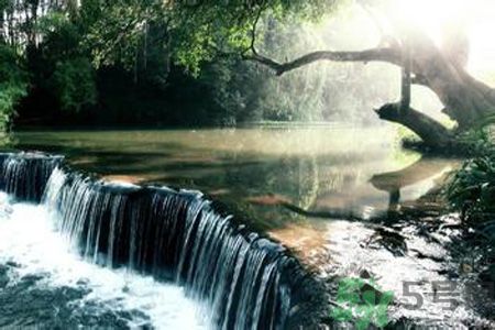 為什么夏至有雨三伏熱？夏至有雨三伏熱是什么意思？