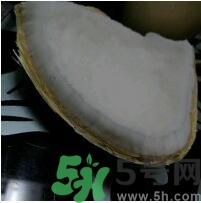 椰子可以放冰箱嗎？椰子放冰箱容易壞嗎？