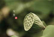夏至有什么習(xí)俗？夏至吃什么傳統(tǒng)食物？