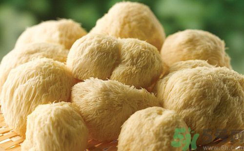 吃猴頭菇有什么好處？猴頭菇有什么營養(yǎng)價(jià)值？
