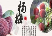 喉嚨痛可以吃楊梅嗎？喉嚨痛吃楊梅好嗎？