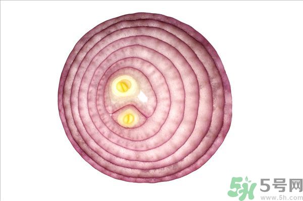 吃洋蔥上火嗎？吃洋蔥會上火嗎？