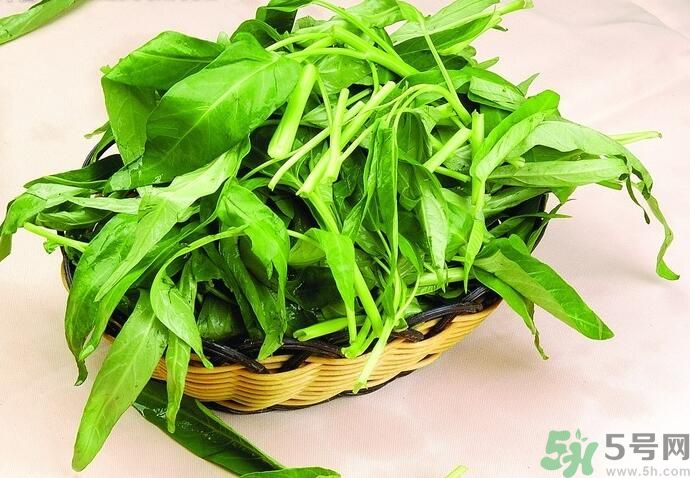 空心菜有什么功效？空心菜的功效是什么？
