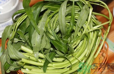 空心菜吃葉子還是吃桿？空心菜吃葉子好嗎？