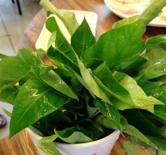空心菜泡水了還能吃嗎？泡水的空心菜可以吃嗎？