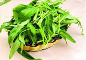 吃空心菜有什么好處？多吃空心菜對身體好嗎？