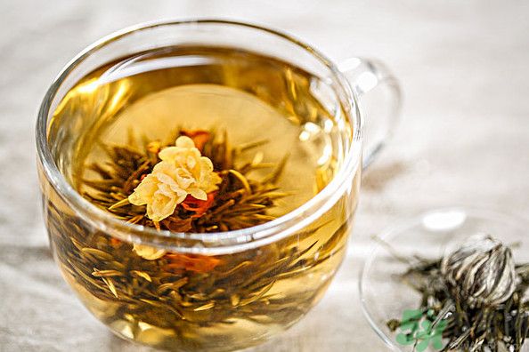 茉莉花綠茶加苦瓜能減肥嗎？茉莉花和苦瓜泡水喝嗎？
