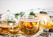 茉莉花綠茶加苦瓜能減肥嗎？茉莉花和苦瓜泡水喝嗎？