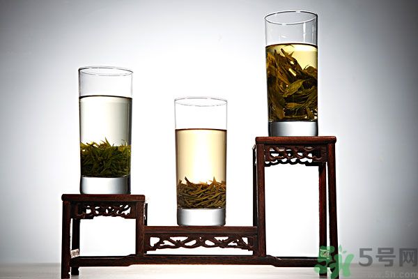 茯苓和苦丁茶能一起泡嗎？茯苓可以和苦丁茶一起喝嗎？