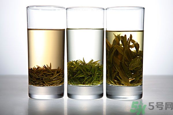 茯苓和苦丁茶能一起泡嗎？茯苓可以和苦丁茶一起喝嗎？