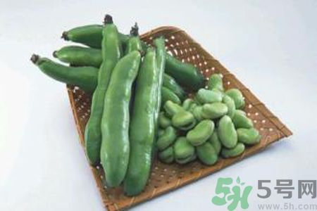 蠶豆是熱性還是涼性？蠶豆是熱性的嗎？