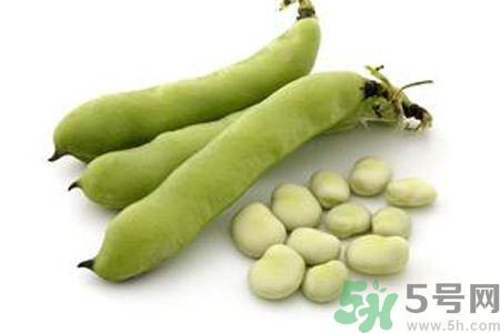 寶寶可以吃蠶豆嗎？寶寶多大可以吃蠶豆？