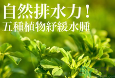 南瓜去水腫嗎？南瓜能消腫嗎？