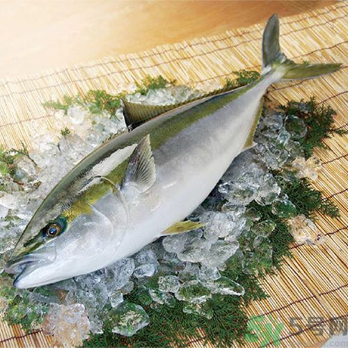 冷凍肉解凍不好吃怎么辦？冷凍肉怎樣解凍好吃？