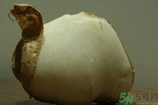 涼薯吃多了好嗎？地瓜吃多了會(huì)上火嗎？