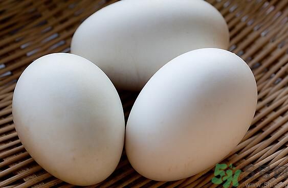 鵝蛋可以清火嗎？鵝蛋可以降火嗎？