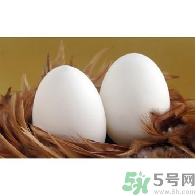 鵝蛋可以清火嗎？鵝蛋可以降火嗎？