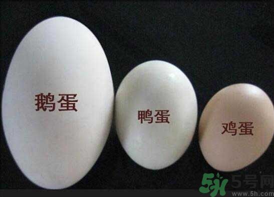 鵝蛋和鴨蛋哪個好？鵝蛋和鴨蛋哪個清火效果好？