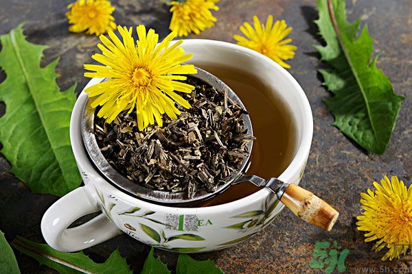 蒲公英泡茶有什么功效？蒲公英泡茶的功效是什么？