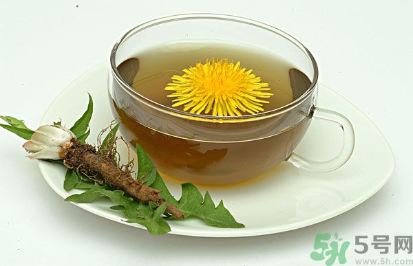 蒲公英根泡茶好還是蒲公英葉泡茶好？蒲公英根和葉哪個(gè)效果好？