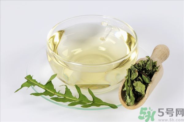 蒲公英根泡茶好還是蒲公英葉泡茶好？蒲公英根和葉哪個效果好？