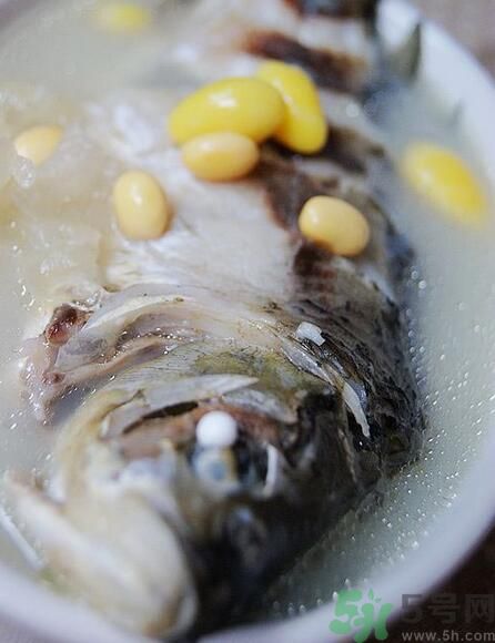 夏天吃黃豆好嗎？夏天吃黃豆有什么好處？
