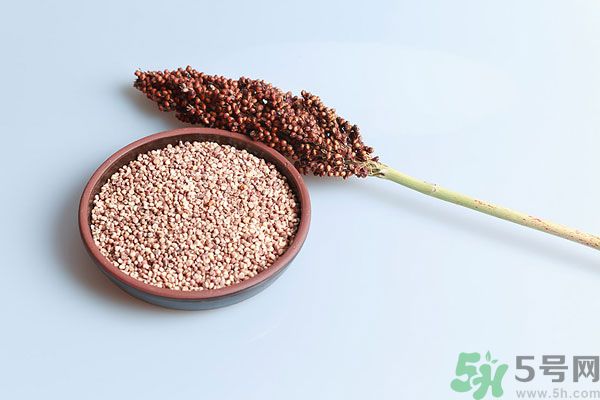 夏天吃高粱好嗎？夏天吃高粱有什么好處？