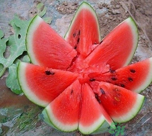 方形西瓜可以吃嗎？方形西瓜有什么好處？