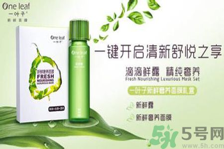 一葉子鮮補(bǔ)水保濕眼霜適合什么膚質(zhì)？