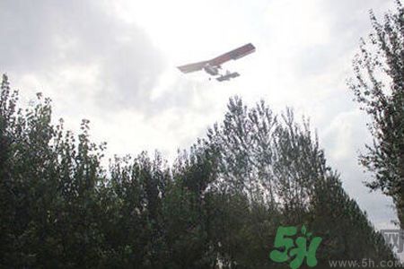 為什么15-25號(hào)不要曬被子？什么是美國白蛾？
