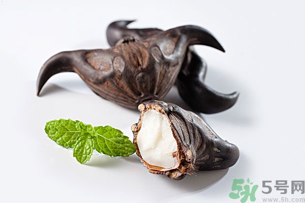 寶寶可以吃菱角嗎？寶寶多大可以吃菱角？
