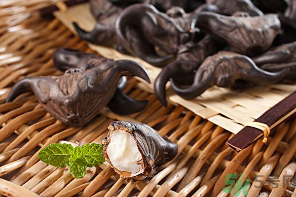 寶寶可以吃菱角嗎？寶寶多大可以吃菱角？