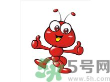 家里有螞蟻怎么辦？驅(qū)除螞蟻的方法是什么？