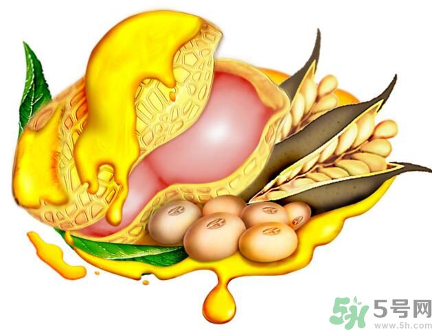 夏天吃哪種油好？什么油適合夏天吃？