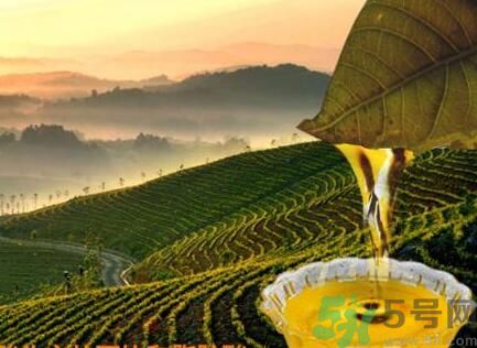 茶籽油可以天天吃嗎？可以每天用茶籽油炒菜嗎？