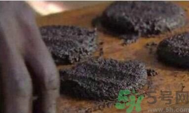蚊子可以吃嗎？吃蚊子會(huì)怎么樣？