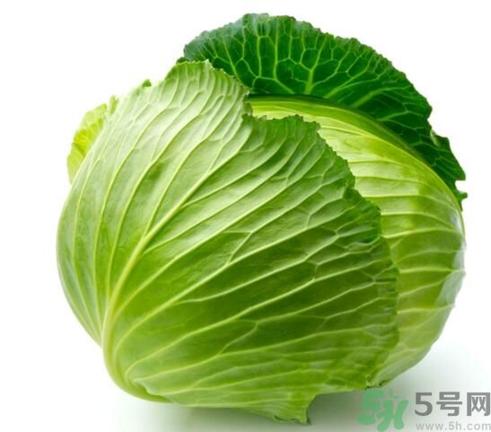 包菜是涼性的嗎？包菜是涼性還是熱性的？