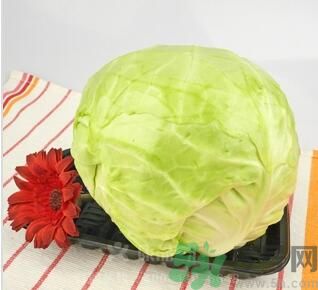 包菜可以生吃嗎？包菜可以涼拌嗎？