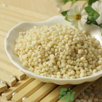 高粱米是涼性嗎？高粱米是涼性還是熱性？
