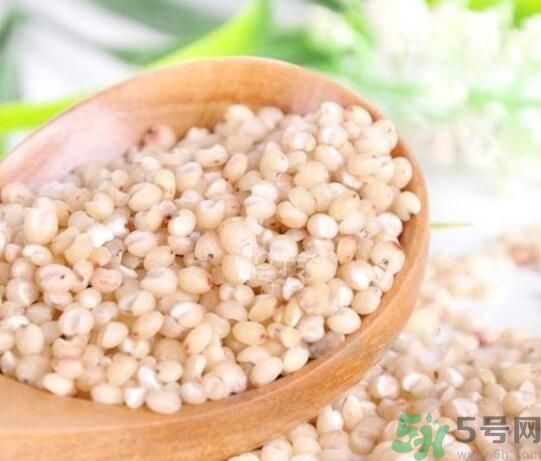 高粱米是發(fā)物嗎？高粱米是不是發(fā)物？
